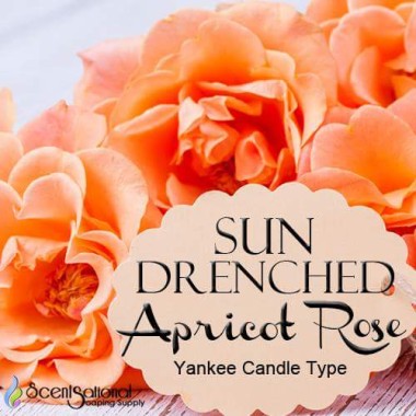 Sun Drenched Apricot Rose