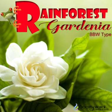 Rainforest Gardenia