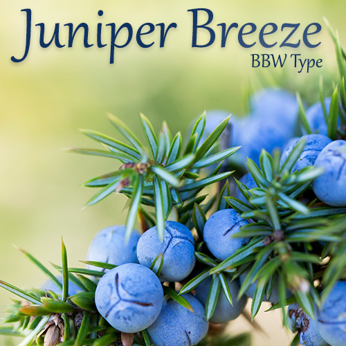 Juniper Breeze BBW Type
