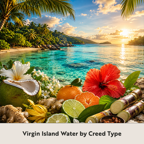 Virgin Island Water by Creed Type