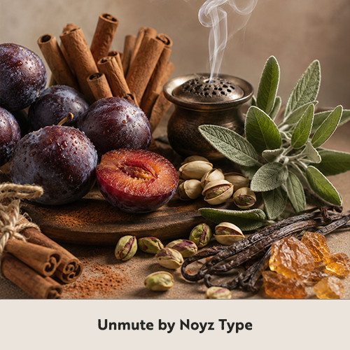 PRESALE Unmute by Noyz Type